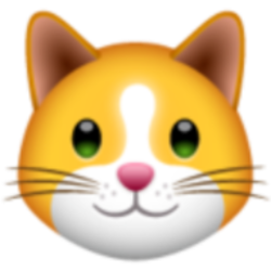 coin icon