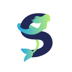 coin icon
