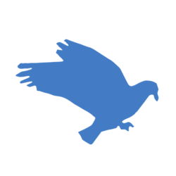 coin logo