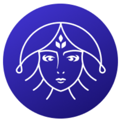 coin icon