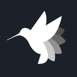 coin logo