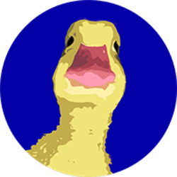 coin icon