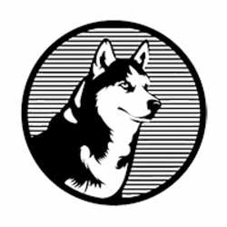 coin logo