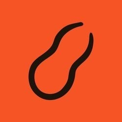 coin icon