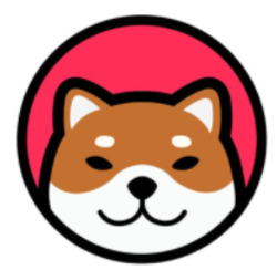 coin icon