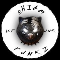 coin logo
