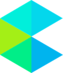 coin icon