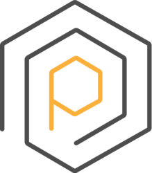 coin icon
