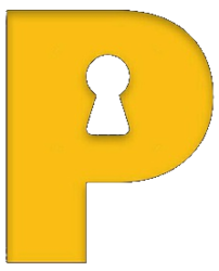 coin icon