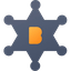 coin icon