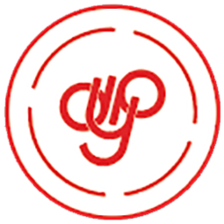 coin icon