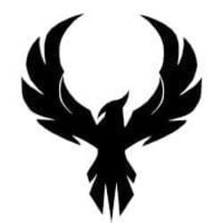 coin icon