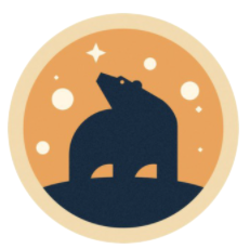 coin icon