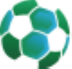 coin icon