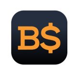 coin icon