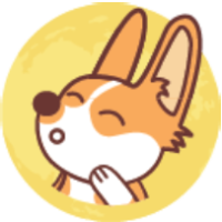 coin icon