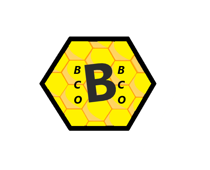 coin icon