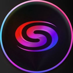 coin icon