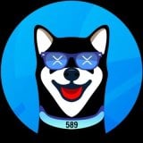 coin icon