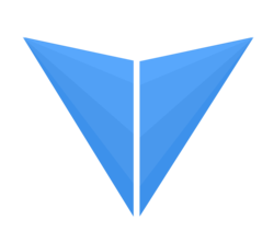 coin icon