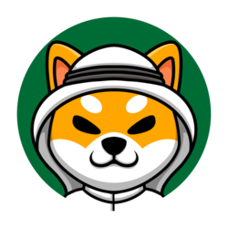 coin icon