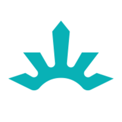 coin icon