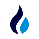 coin icon
