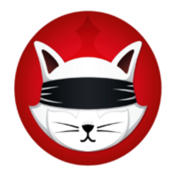 coin icon