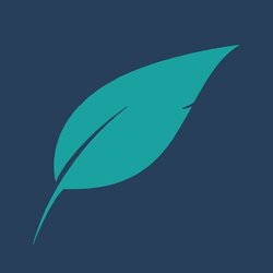 coin icon