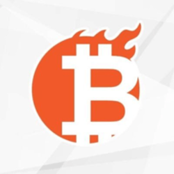 coin icon