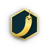 coin logo