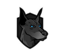 coin logo