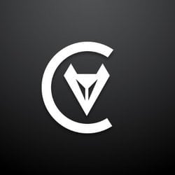 coin icon