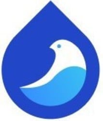 coin icon