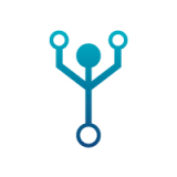 coin icon