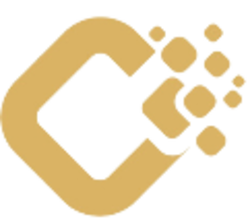 coin icon