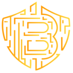 coin icon