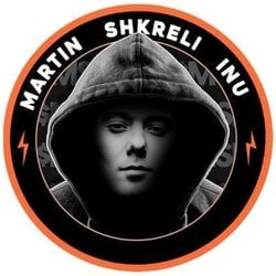 coin icon