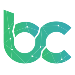 coin icon