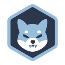coin icon