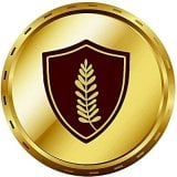 coin icon