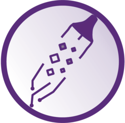 coin icon