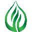 coin icon