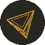 coin icon