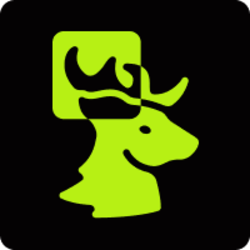 coin icon