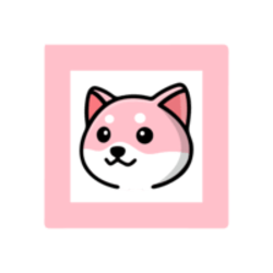 coin icon