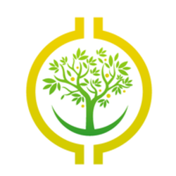 coin icon
