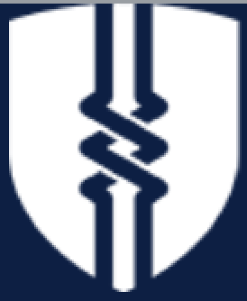 coin icon