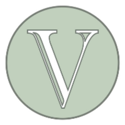 coin icon
