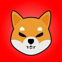 coin icon